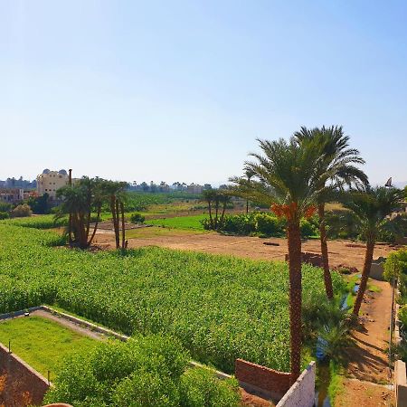 Farida Apartments Luxor Eksteriør billede