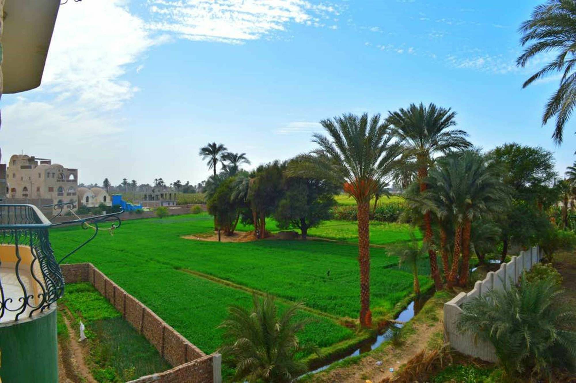 Farida Apartments Luxor Eksteriør billede