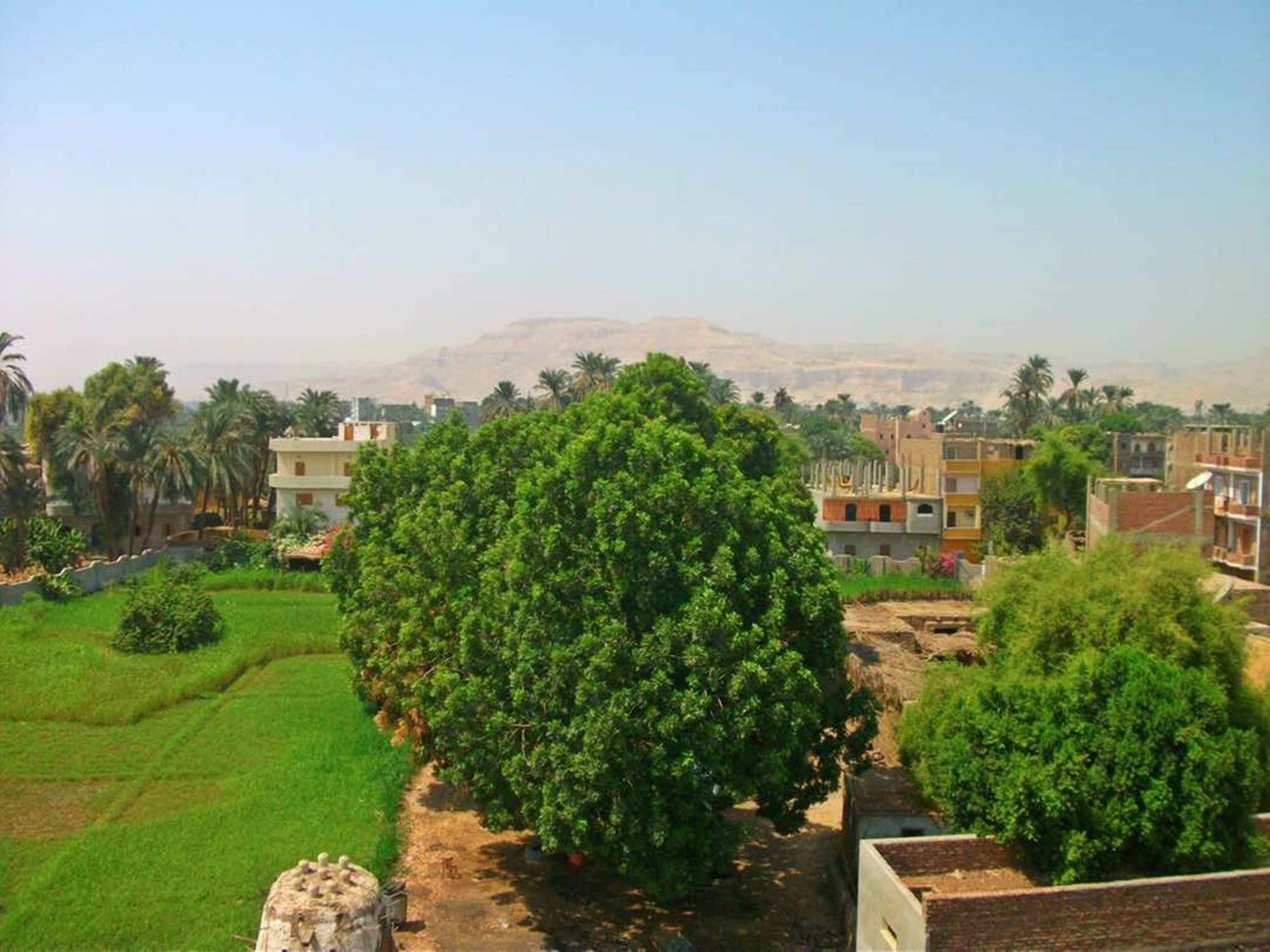 Farida Apartments Luxor Eksteriør billede