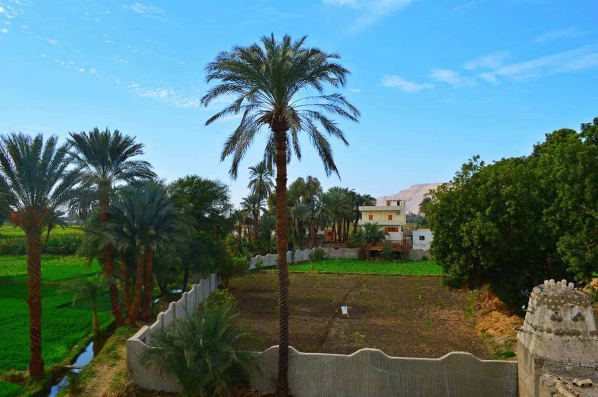 Farida Apartments Luxor Eksteriør billede