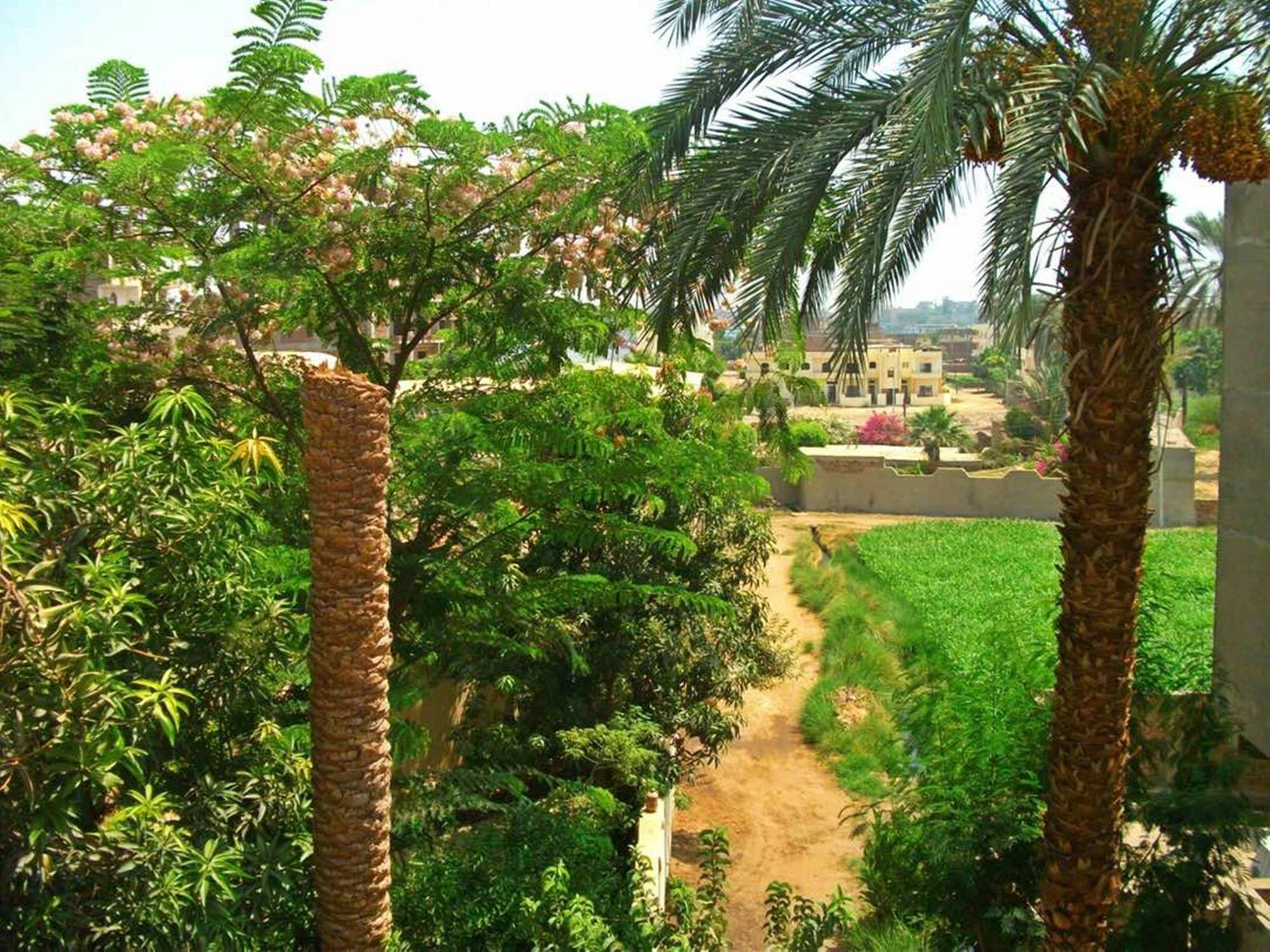 Farida Apartments Luxor Eksteriør billede