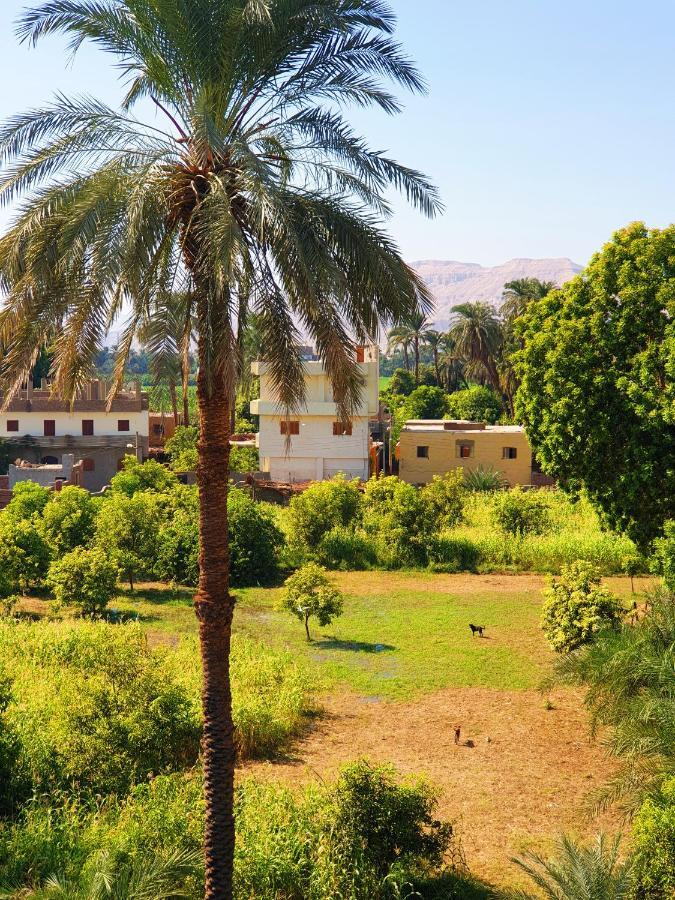 Farida Apartments Luxor Eksteriør billede