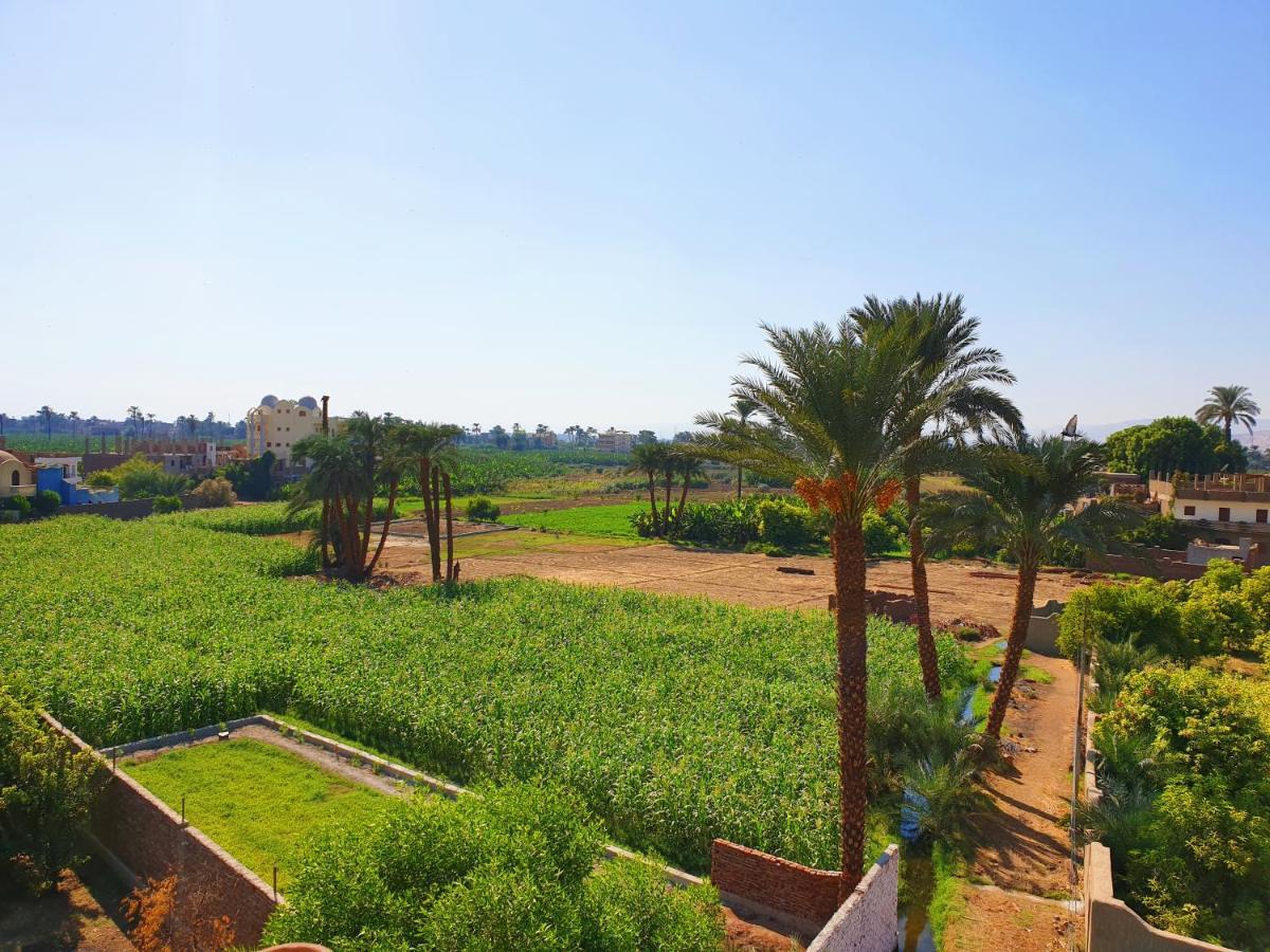 Farida Apartments Luxor Eksteriør billede