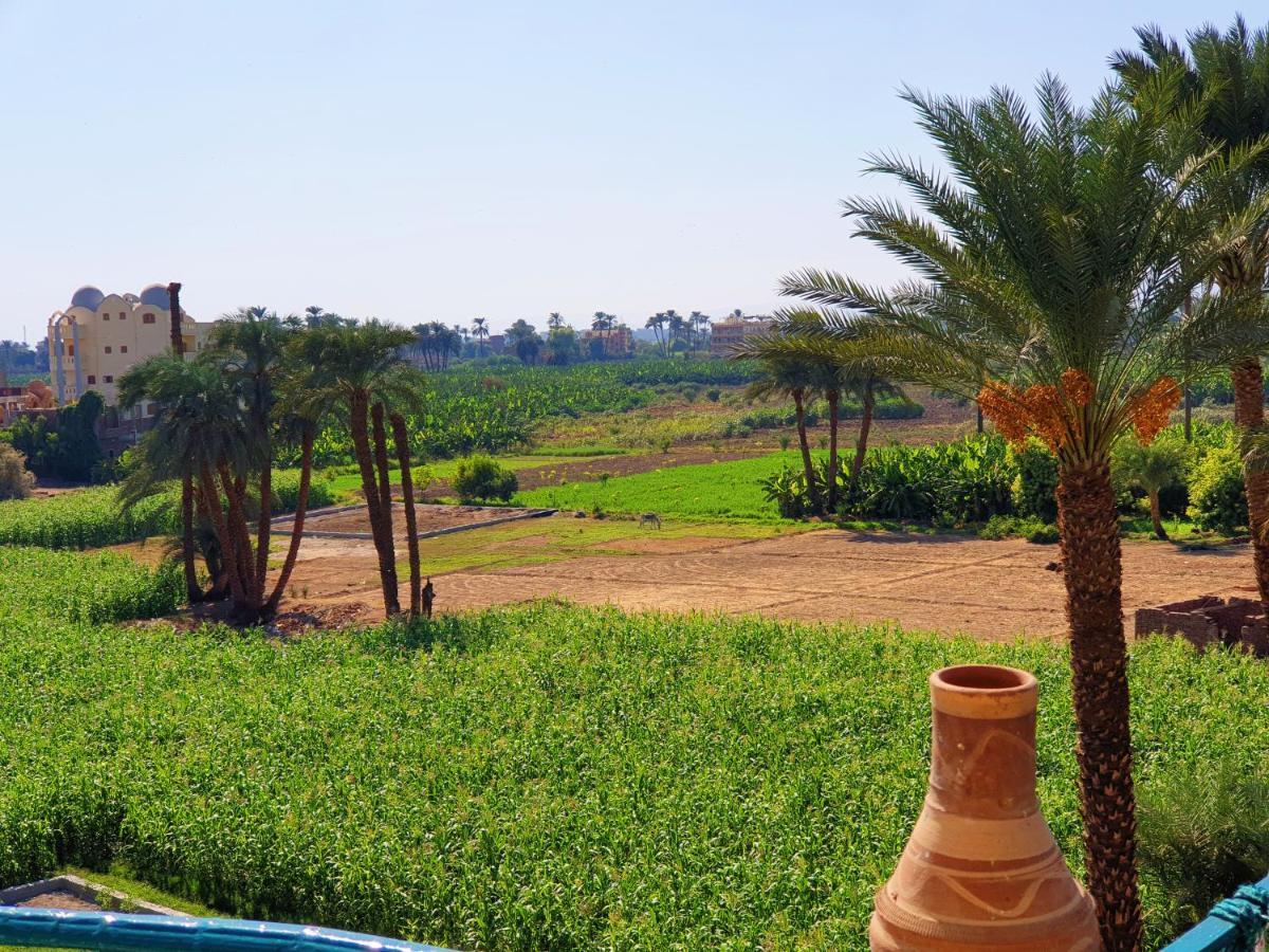 Farida Apartments Luxor Eksteriør billede